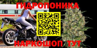 эйфоретик Лесосибирск