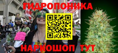 эйфоретик Лесосибирск