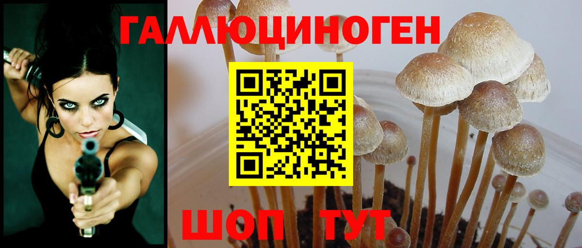 Воркута  Галлюциногенные грибы GOLDEN TEACHER  Вход с VPN  Псилоцибиновые грибы мухоморы 